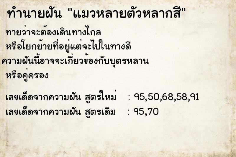 ทำนายฝันทำนายฝันแมวหลายตัวหลากสี