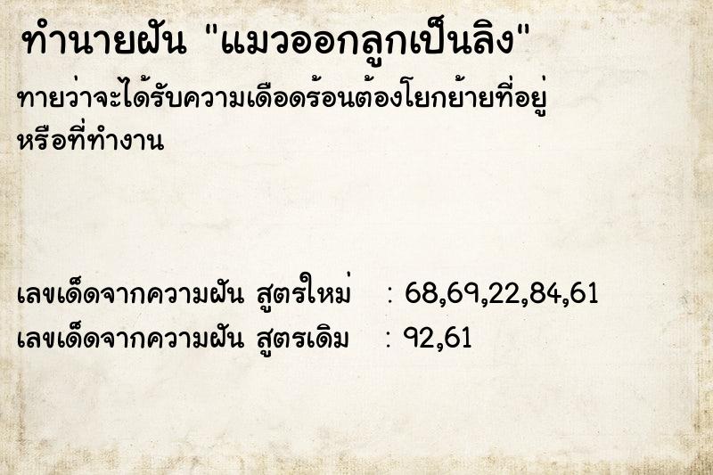 ทำนายฝันทำนายฝันแมวออกลูกเป็นลิง