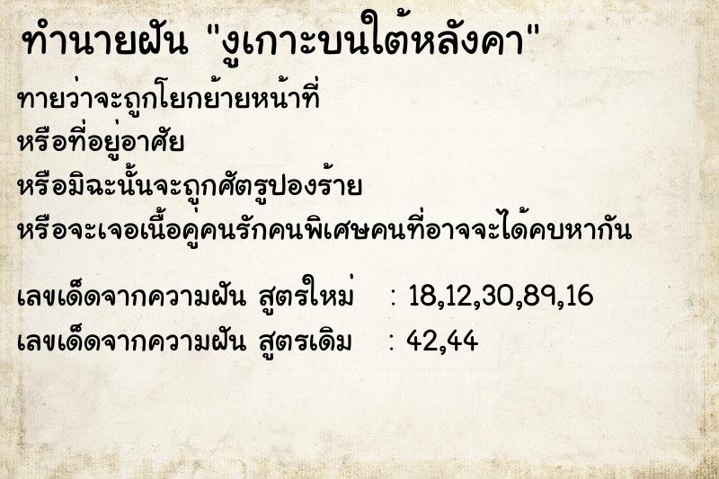 ทำนายฝันทำนายฝันงูเกาะบนใต้หลังคา