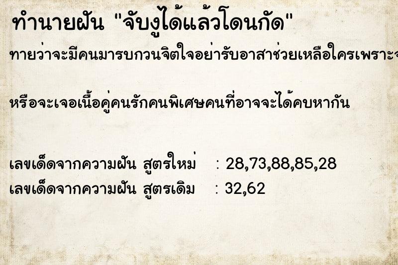 ทำนายฝัน จับงูได้แล้วโดนกัด ทำนายฝัน จับงูได้แล้วโดนกัด
