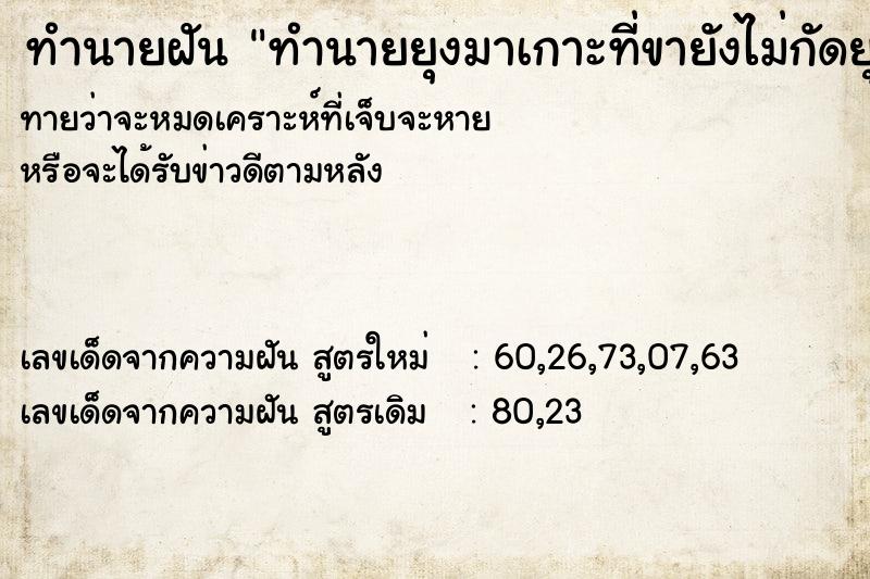 ทำนายฝันทำนายฝันทำนายยุงมาเกาะที่ขายังไม่กัดยุงเยอะมาก