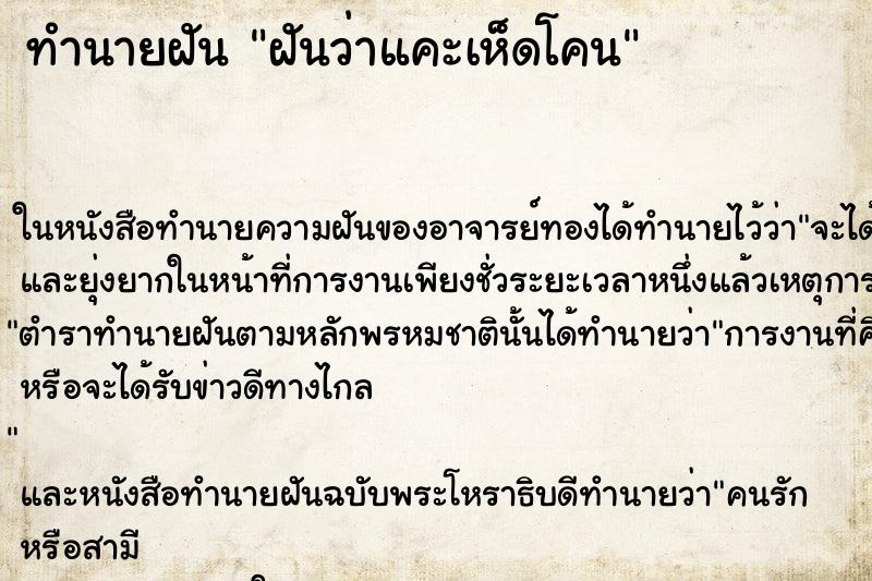 ทำนายฝันฝันว่าแคะเห็ดโคน ทำนายฝันทำนายฝันฝันว่าแคะเห็ดโคน