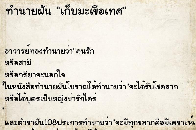 ทำนายฝัน เก็บมะเขือเทศ ทำนายฝัน เก็บมะเขือเทศ
