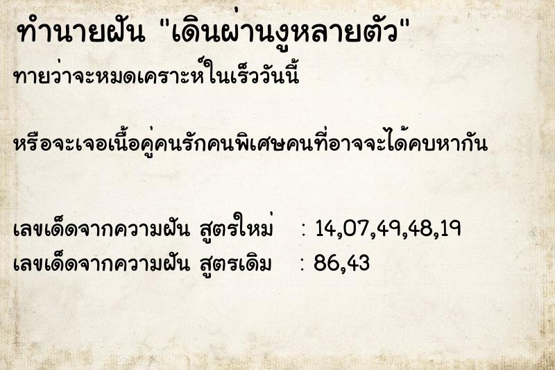 ทำนายฝันเดินผ่านงูหลายตัว ทำนายฝันทำนายฝันเดินผ่านงูหลายตัว