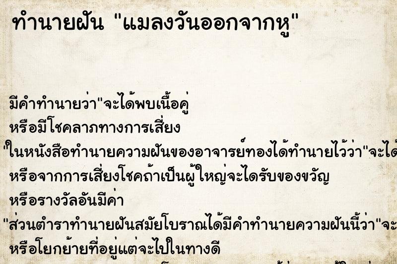 ทำนายฝัน แมลงวันออกจากหู ทำนายฝัน แมลงวันออกจากหู