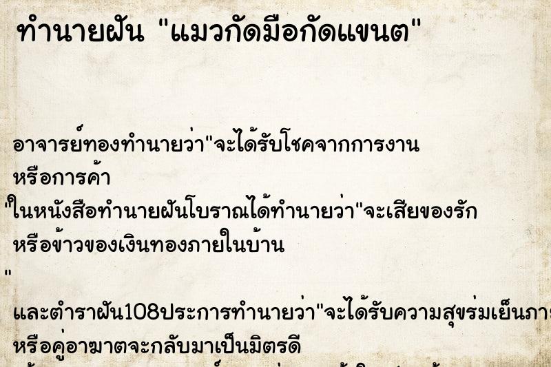 ทำนายฝัน แมวกัดมือกัดแขนต