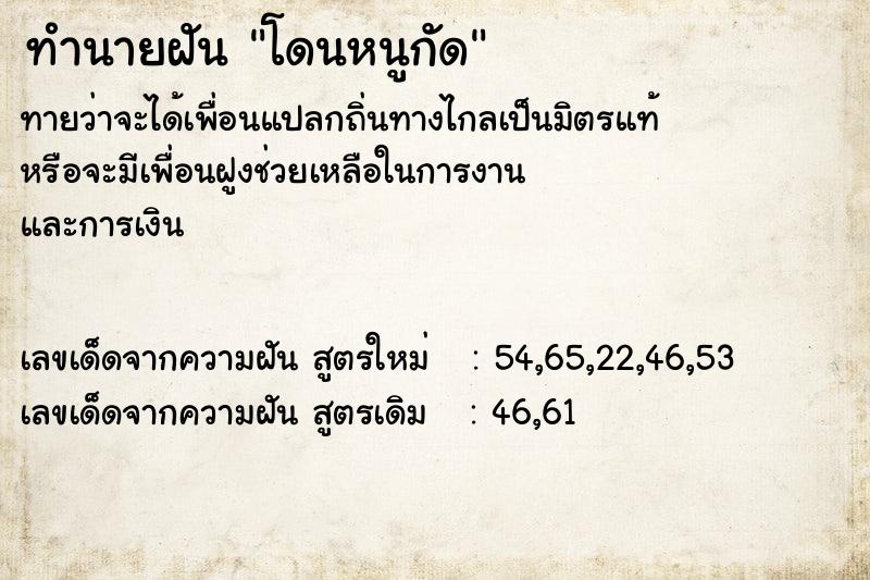 ทำนายฝันทำนายฝันโดนหนูกัด