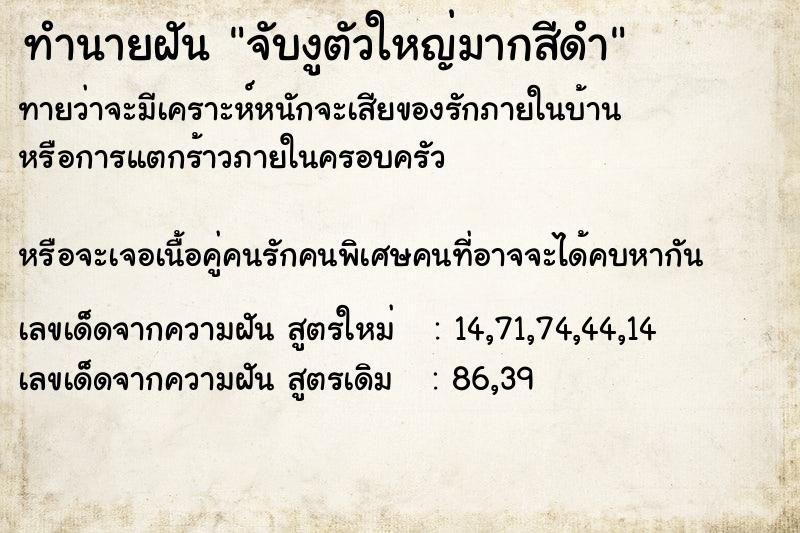ทำนายฝันทำนายฝันจับงูตัวใหญ่มากสีดำ