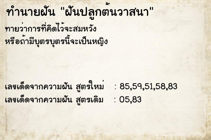 ทำนายฝัน ฝันปลูกต้นวาสนา ทำนายฝัน ฝันปลูกต้นวาสนา
