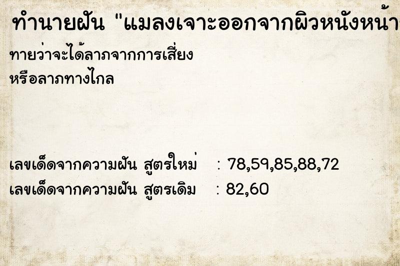 ทำนายฝันทำนายฝันแมลงเจาะออกจากผิวหนังหน้าขา