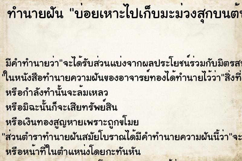 ทำนายฝันบ่อยเหาะไปเก็บมะม่วงสุกบนต้น ทำนายฝันทำนายฝันบ่อยเหาะไปเก็บมะม่วงสุกบนต้น