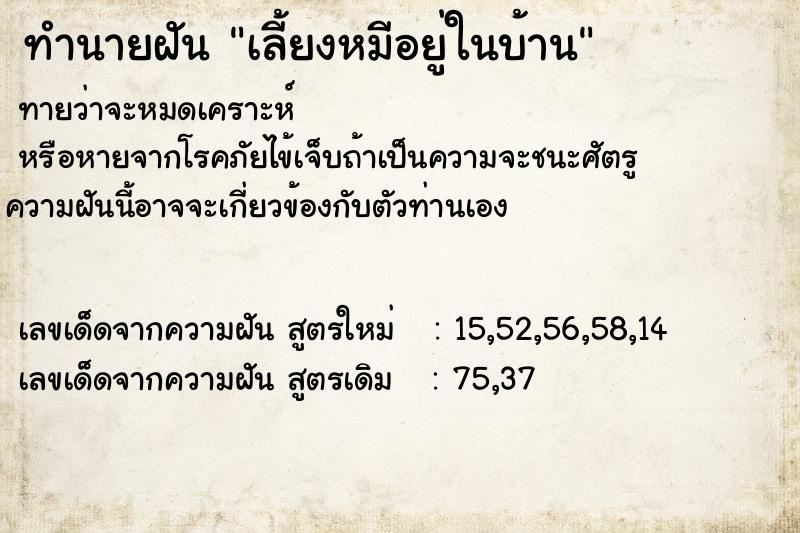 ทำนายฝันเลี้ยงหมีอยู่ในบ้าน ทำนายฝันทำนายฝันเลี้ยงหมีอยู่ในบ้าน