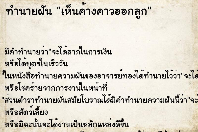 ทำนายฝัน เห็นค้างคาวออกลูก ทำนายฝัน เห็นค้างคาวออกลูก
