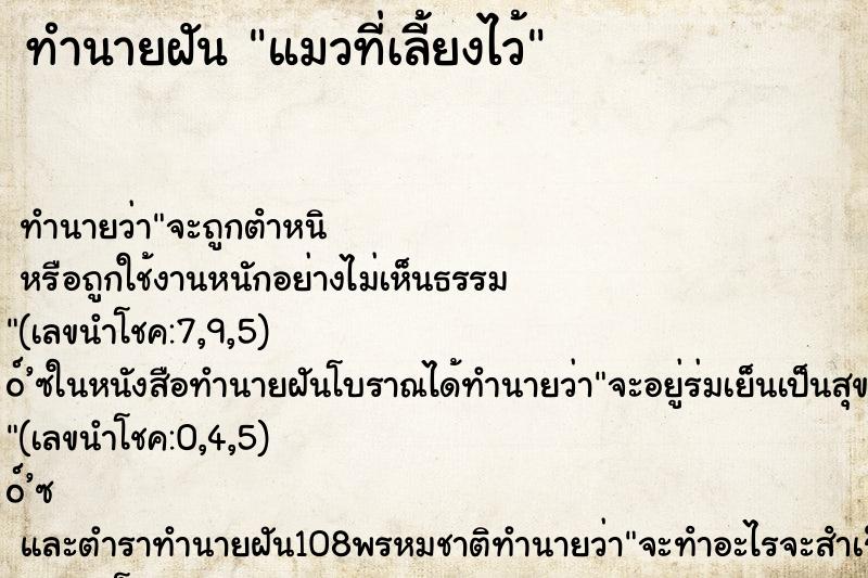 ทำนายฝัน แมวที่เลี้ยงไว้ ทำนายฝัน แมวที่เลี้ยงไว้