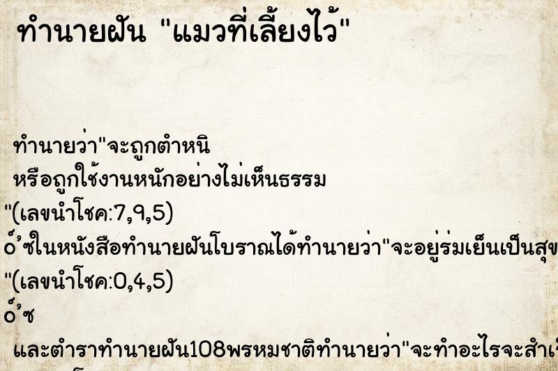 ทำนายฝัน แมวที่เลี้ยงไว้ ตำราโบราณ แม่นที่สุดในโลก