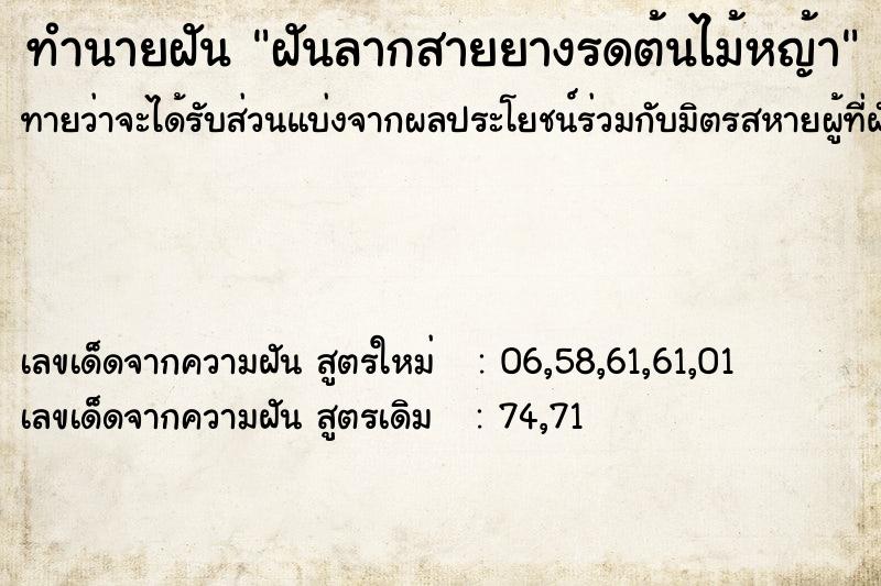 ทำนายฝันฝันลากสายยางรดต้นไม้หญ้า ทำนายฝันทำนายฝันฝันลากสายยางรดต้นไม้หญ้า