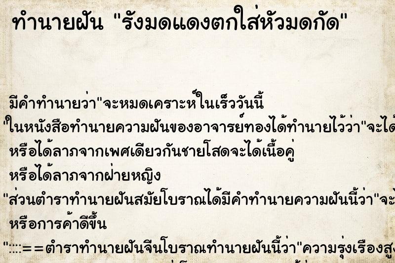ทำนายฝัน รังมดแดงตกใส่หัวมดกัด ทำนายฝัน รังมดแดงตกใส่หัวมดกัด