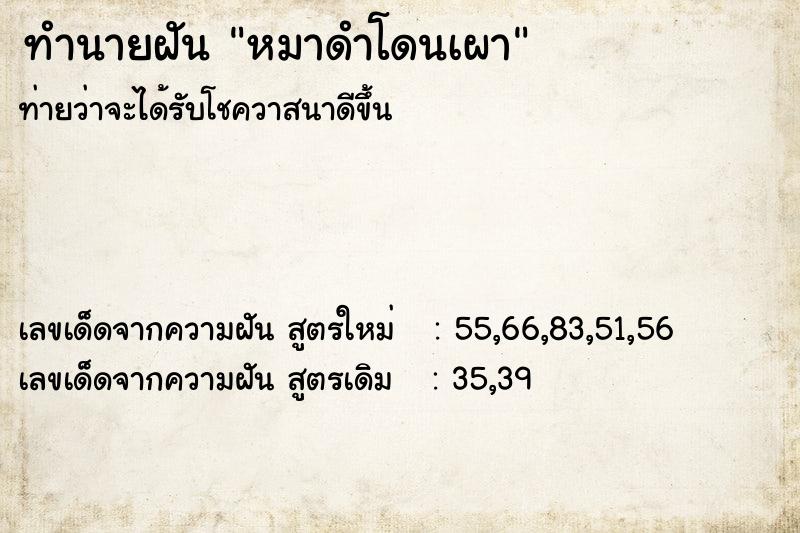 ทำนายฝันทำนายฝันหมาดำโดนเผา