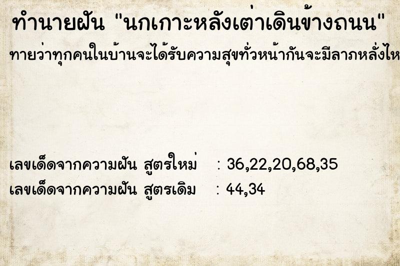 ทำนายฝันทำนายฝันนกเกาะหลังเต่าเดินข้างถนน