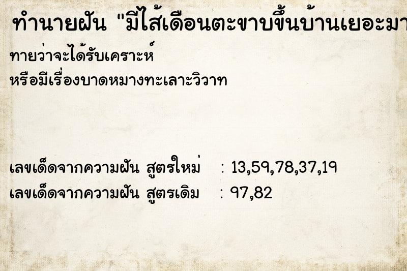 ทำนายฝันทำนายฝันมีไส้เดือนตะขาบขึ้นบ้านเยอะมาก