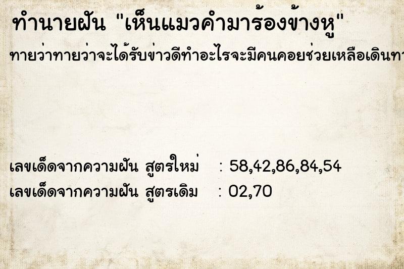 ทำนายฝันทำนายฝันเห็นแมวคำมาร้องข้างหู