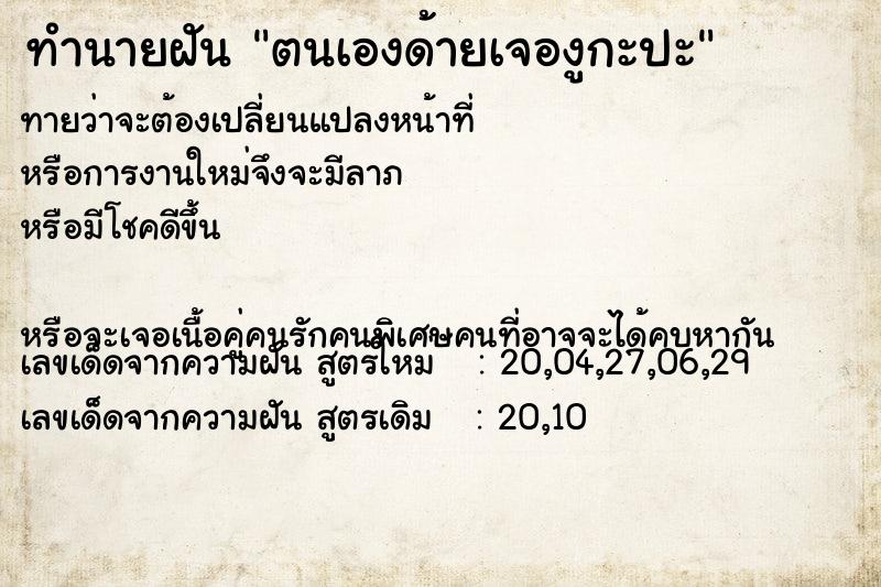 ทำนายฝันตนเองด้ายเจองูกะปะ ทำนายฝันทำนายฝันตนเองด้ายเจองูกะปะ