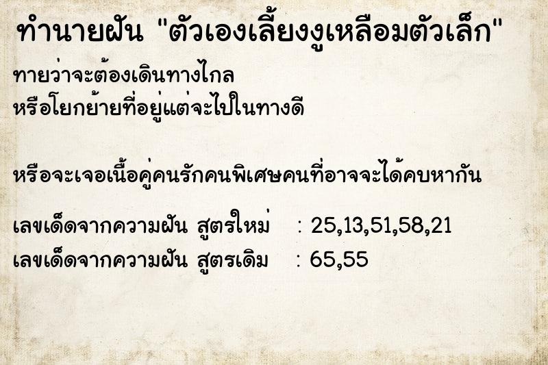 ทำนายฝันตัวเองเลี้ยงงูเหลือมตัวเล็ก ทำนายฝันทำนายฝันตัวเองเลี้ยงงูเหลือมตัวเล็ก