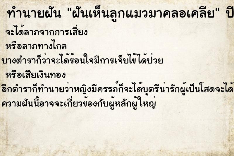 ทำนายฝันฝันเห็นลูกแมวมาคลอเคลีย ทำนายฝันทำนายฝันฝันเห็นลูกแมวมาคลอเคลีย