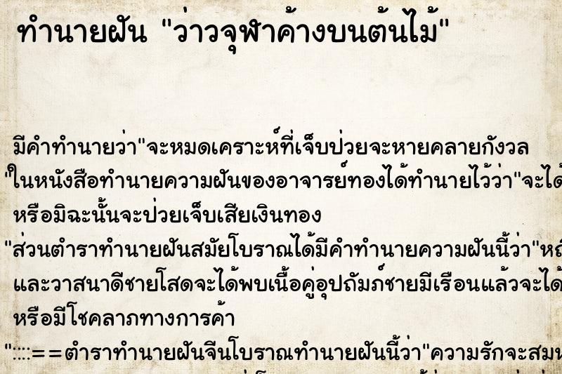 ทำนายฝันว่าวจุฬาค้างบนต้นไม้ ทำนายฝันทำนายฝันว่าวจุฬาค้างบนต้นไม้