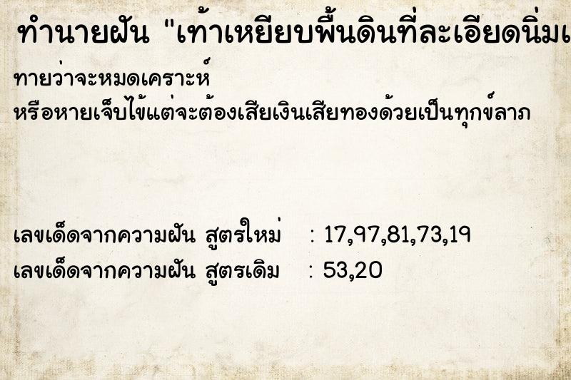 ทำนายฝันเท้าเหยียบพื้นดินที่ละเอียดนิ่มเย็นสบาย ทำนายฝันทำนายฝันเท้าเหยียบพื้นดินที่ละเอียดนิ่มเย็นสบาย