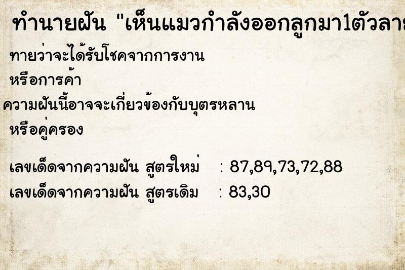 ทำนายฝันทำนายฝันเห็นแมวกำลังออกลูกมา1ตัวลายชมดแล้ววิ่งไปเลย