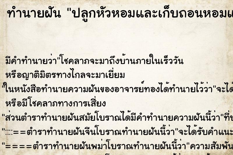 ทำนายฝัน ปลูกหัวหอมและเก็บถอนหอมแดงขึ้นมา ทำนายฝัน ปลูกหัวหอมและเก็บถอนหอมแดงขึ้นมา
