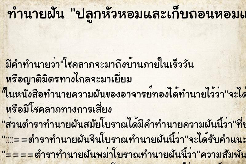 ทำนายฝัน ปลูกหัวหอมและเก็บถอนหอมแดงขึ้นมา ตำราโบราณ แม่นที่สุดในโลก