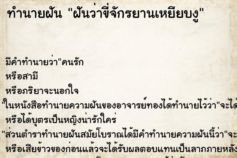 ทำนายฝัน ฝันว่าขี่จักรยานเหยียบงู ทำนายฝัน ฝันว่าขี่จักรยานเหยียบงู