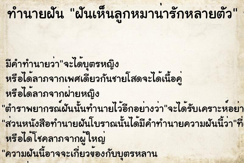 ทำนายฝันฝันเห็นลูกหมาน่ารักหลายตัว ทำนายฝันทำนายฝันฝันเห็นลูกหมาน่ารักหลายตัว