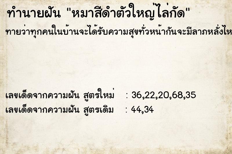 ทำนายฝันทำนายฝันหมาสีดำตัวใหญ่ไล่กัด