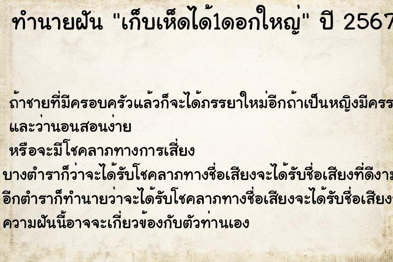 ทำนายฝันทำนายฝันเก็บเห็ดได้1ดอกใหญ่