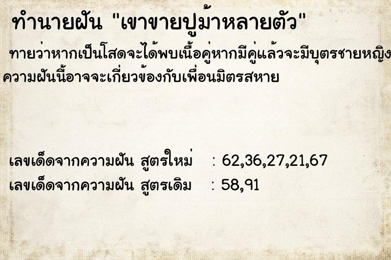 ทำนายฝันเขาขายปูม้าหลายตัว ทำนายฝันทำนายฝันเขาขายปูม้าหลายตัว