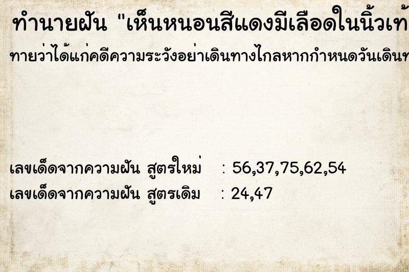 ทำนายฝันเห็นหนอนสีแดงมีเลือดในนิ้วเท้า ทำนายฝันทำนายฝันเห็นหนอนสีแดงมีเลือดในนิ้วเท้า