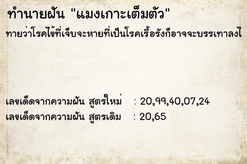 ทำนายฝันทำนายฝันแมงเกาะเต็มตัว