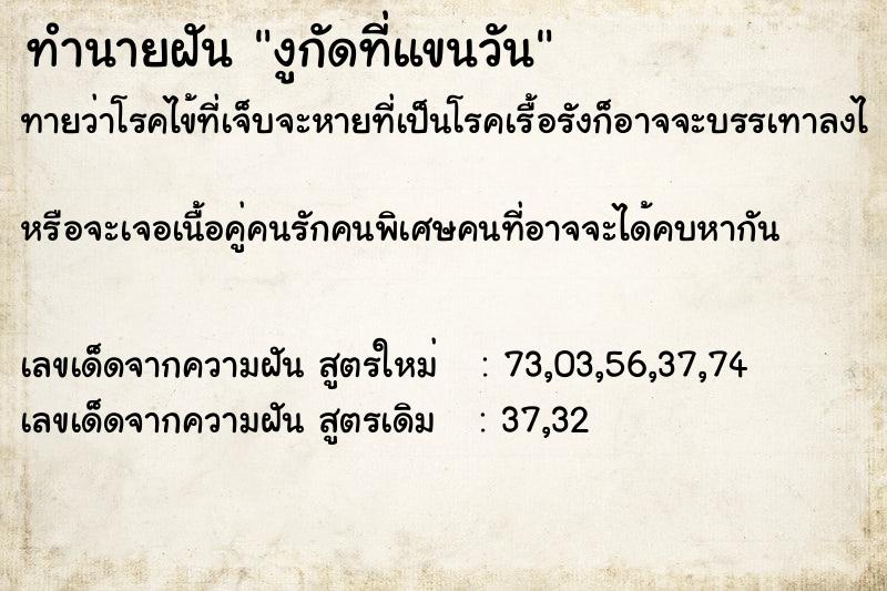 ทำนายฝันงูกัดที่แขนวัน ทำนายฝันทำนายฝันงูกัดที่แขนวัน