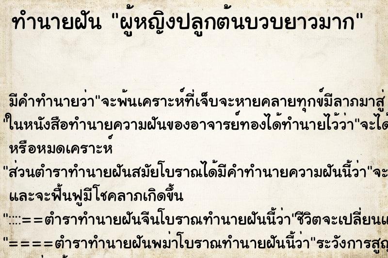 ทำนายฝันผู้หญิงปลูกต้นบวบยาวมาก ทำนายฝันทำนายฝันผู้หญิงปลูกต้นบวบยาวมาก