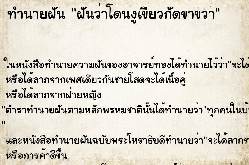 ทำนายฝันฝันว่าโดนงูเขียวกัดขาขวา ทำนายฝันทำนายฝันฝันว่าโดนงูเขียวกัดขาขวา