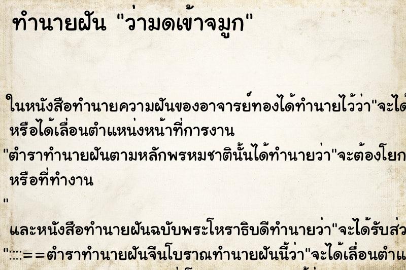 ทำนายฝัน ว่ามดเข้าจมูก ทำนายฝัน ว่ามดเข้าจมูก