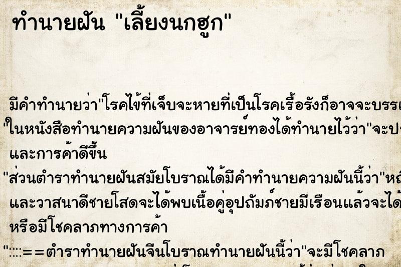 ทำนายฝัน เลี้ยงนกฮูก