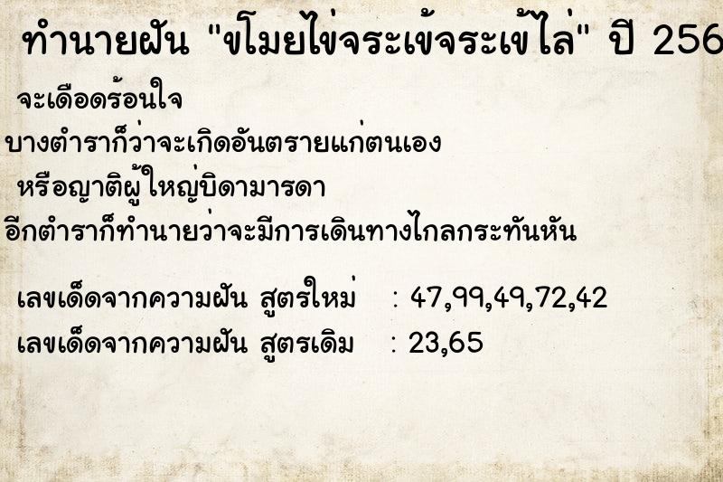 ทำนายฝัน ขโมยไข่จระเข้จระเข้ไล่ ทำนายฝัน ขโมยไข่จระเข้จระเข้ไล่