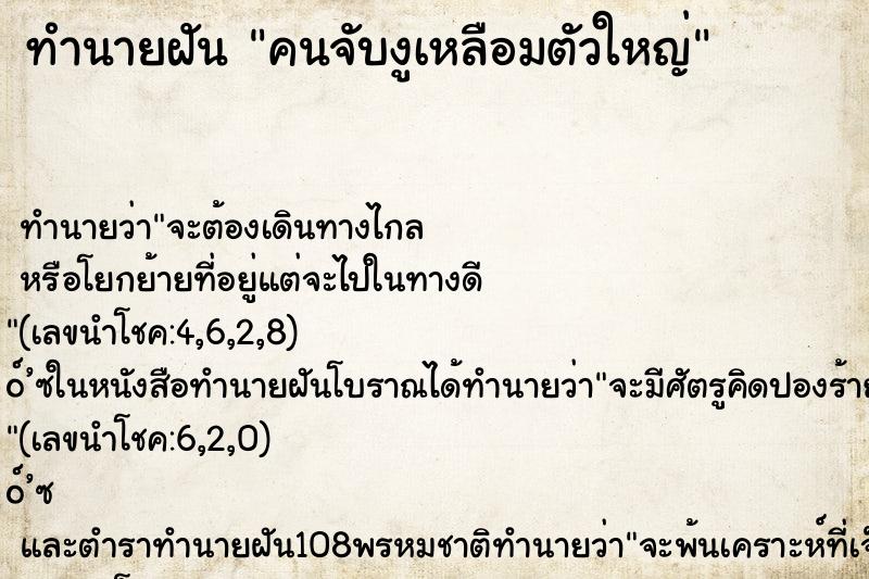 ทำนายฝัน คนจับงูเหลือมตัวใหญ่