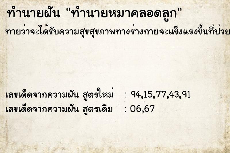 ทำนายฝัน ทำนายหมาคลอดลูก ทำนายฝัน ทำนายหมาคลอดลูก