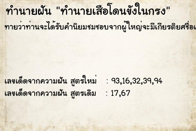ทำนายฝันทำนายเสือโดนขังในกรง ทำนายฝันทำนายฝันทำนายเสือโดนขังในกรง