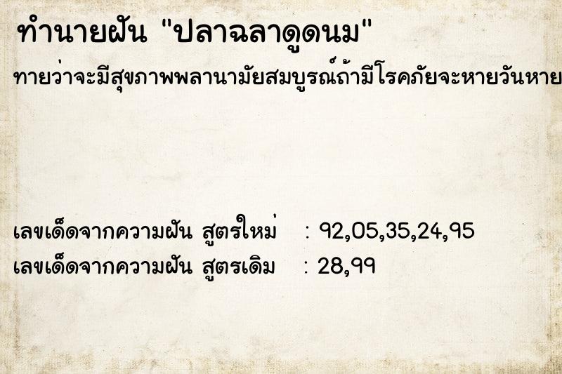 ทำนายฝันปลาฉลาดูดนม ทำนายฝันทำนายฝันปลาฉลาดูดนม